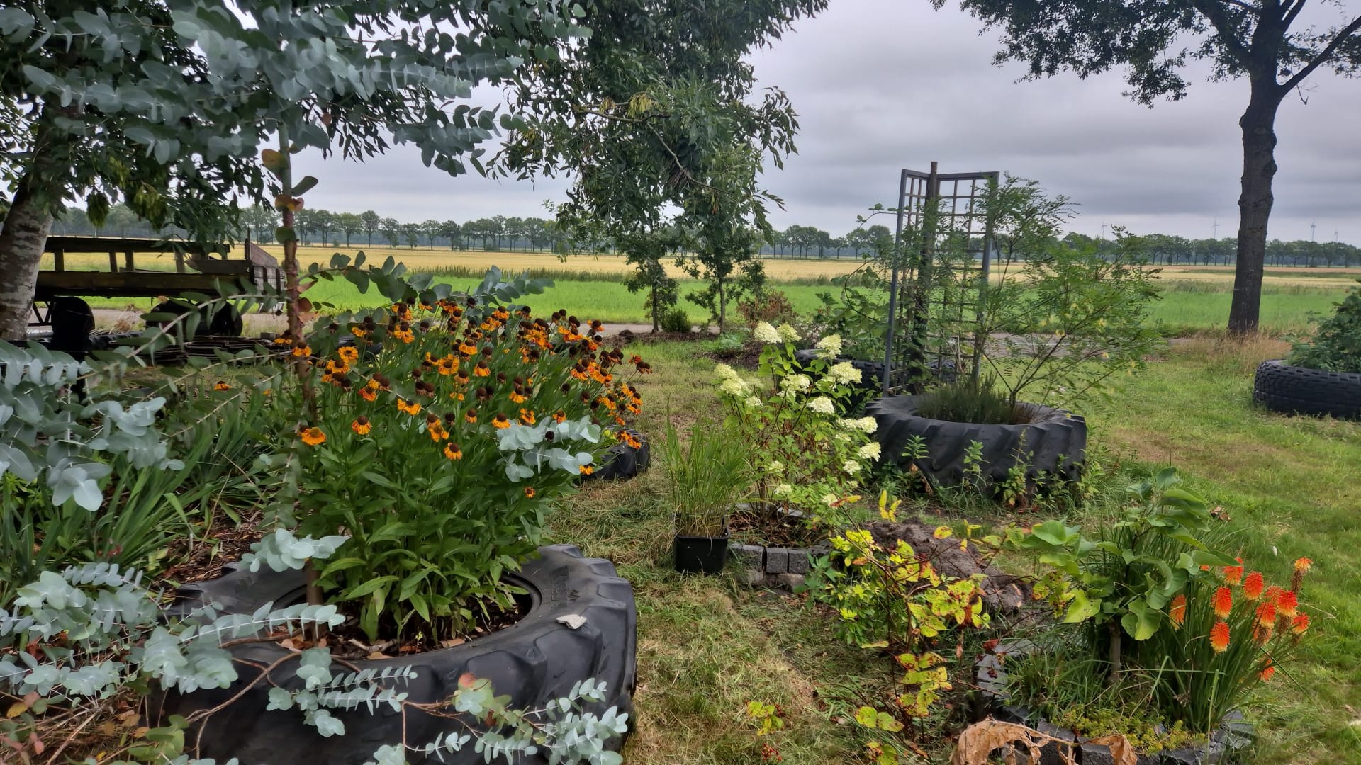 Bijenstand bij Klontjeheide